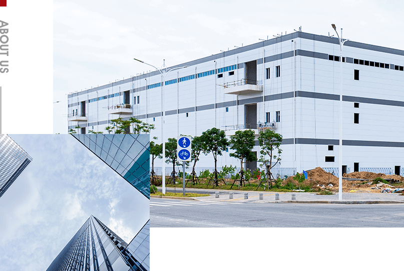 Wenzhou Dingyi Packaging Machinery Co.,LTD